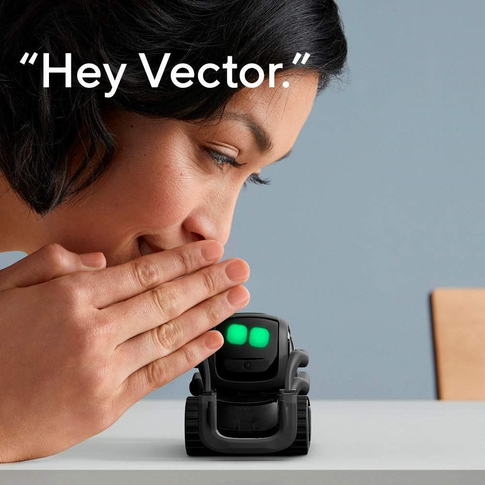 AI ChatGPT 2.0 Connected Robot - Smart Home Camera review and price
