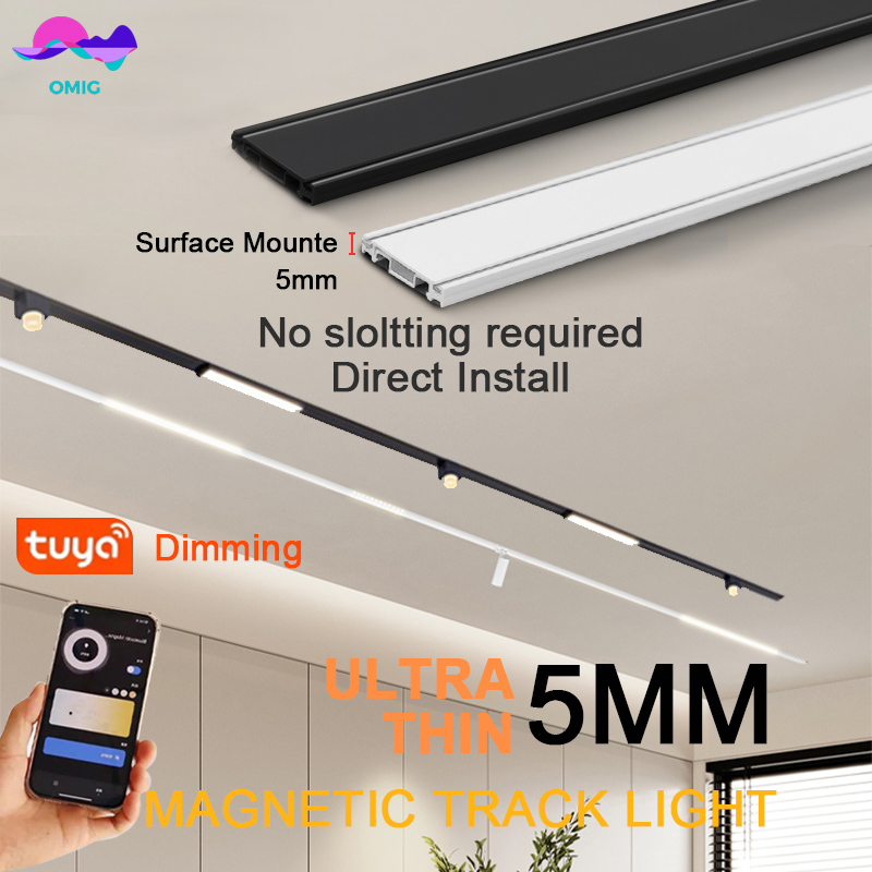 Smart Magnet Track Rail Lights - Smart Home Ecosystems review and price